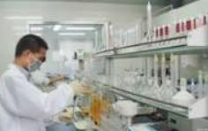 世界氣象組織：全球溫室氣體濃度再創(chuàng)新高